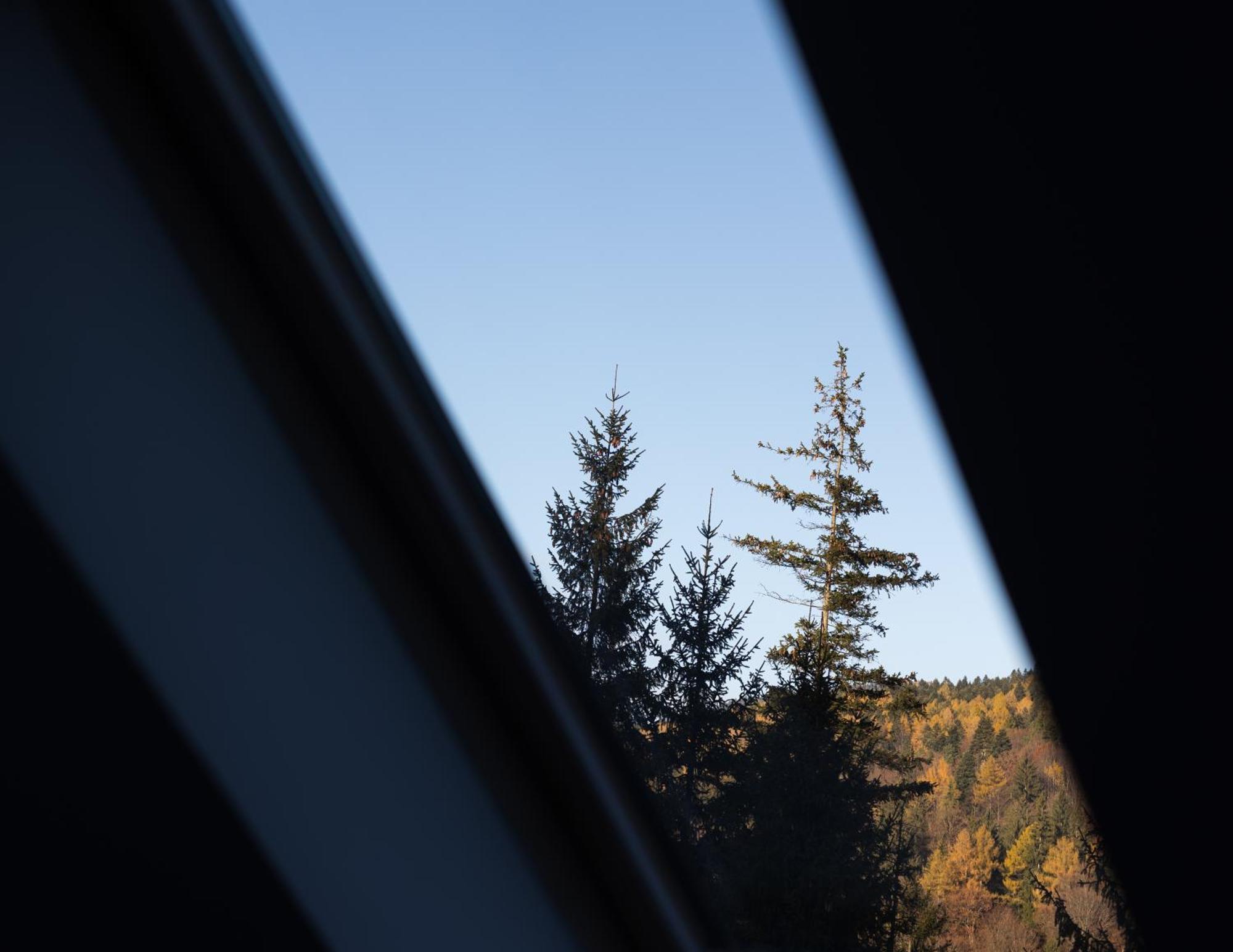 Impala Sinaia - Springbok Apartment Exterior photo